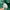 Lacoste Y2K Casual Bomber jacket Pria green photo 8