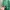 Lacoste Y2K Casual Bomber jacket Pria green photo 4