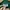 Lacoste Y2K Casual Bomber jacket Pria green photo 7