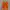 Burberry Vintage Luxury Sweatshirt Pria Orange