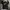 Nike Casual Track jacket Pria black photo 4