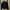 Carhartt Vintage Y2K Hoody Pria black photo 1