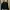 Carhartt Vintage Y2K Hoody Pria Black