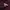 Puma Sportswear T-shirt Pria burgundy photo 8