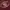 Puma Sportswear T-shirt Pria burgundy photo 6