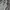 Nike Emo Casual Hoody Pria gray photo 3
