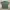 Shaka Wear Vintage Streetwear T-shirt Pria green photo 4