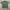 Shaka Wear Vintage Streetwear T-shirt Pria green photo 1