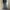 Uniqlo Streetwear Jeans Pria multicolor photo 7