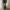 Streetwear Jeans Pria multicolor photo 7