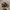 Grunge Avant Garde Hat Wanita multicolor photo 6