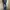 Back Number Streetwear Jeans Pria multicolor photo 8