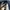 Back Number Streetwear Jeans Pria multicolor photo 3