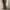 Uniqlo Casual Formal pants Pria multicolor photo 6