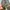 Wrangler Streetwear Jeans Pria multicolor photo 3