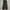 Uniqlo Streetwear Jeans Pria black photo 1