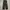 Uniqlo Streetwear Jeans Pria black photo 2