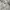 Japanese brand Casual Denim jacket Pria white black photo 2
