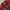 Poshboy Vintage Cardigan Pria red photo 2