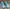 Reebok Skater Casual Sneakers Pria gray blue photo 2