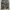Japanese brand Gorpcore Sportswear Tracksuit Pria black photo 4