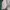 Dickies Streetwear Casual pants Pria green photo 8