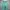 Dickies Streetwear Casual pants Pria green photo 6