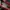 Kate Spade Lolita Minimalist Shoulder bag Wanita red photo 3