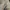 Luxury Casual Trench coat Wanita tan khaki photo 3
