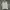 Minimal Casual Hoody Wanita white gray photo 2