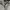 Adidas Vintage Track jacket Pria gray photo 5