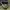 Nike ACG Y2K Sportswear Hat Pria green photo 6
