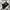 Adidas Sportswear Sweatpants & Joggers Pria black photo 1