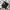 Asics Sportswear Sweatpants & Joggers Pria black photo 1