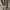 Casual Trench coat Wanita tan photo 4