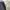 Skechers Sportswear Sweatpants & Joggers Pria black gray photo 6