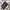 Skechers Sportswear Sweatpants & Joggers Pria black gray photo 1