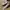 ZARA Streetwear Track jacket Pria multicolor photo 6