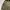 Yves Saint Laurent YSL Streetwear Trench coat Pria multicolor photo 3