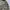 Yves Saint Laurent YSL Streetwear Trench coat Pria multicolor photo 4