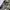 Yves Saint Laurent YSL Streetwear Trench coat Pria multicolor photo 7