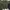 THE EXECUTIVE - GREEN BLOUSE Size