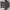 Polo Ralph Lauren Casual Sweater Pria black photo 2