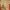 Minimalist Casual T-shirt Wanita multicolor burgundy white tan navy brown black gray cream photo 1