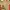 Minimalist Casual T-shirt Wanita Multicolor Burgundy White Tan Navy Brown Black Gray Cream