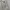Casual Baju muslim Wanita white photo 3