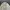 Casual Baju muslim Wanita white photo 2