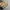 Burberry Casual Tote bag Wanita cream photo 8