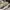 Burberry Casual Tote bag Wanita cream photo 7