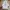 Adidas Casual Sneakers Pria white photo 3
